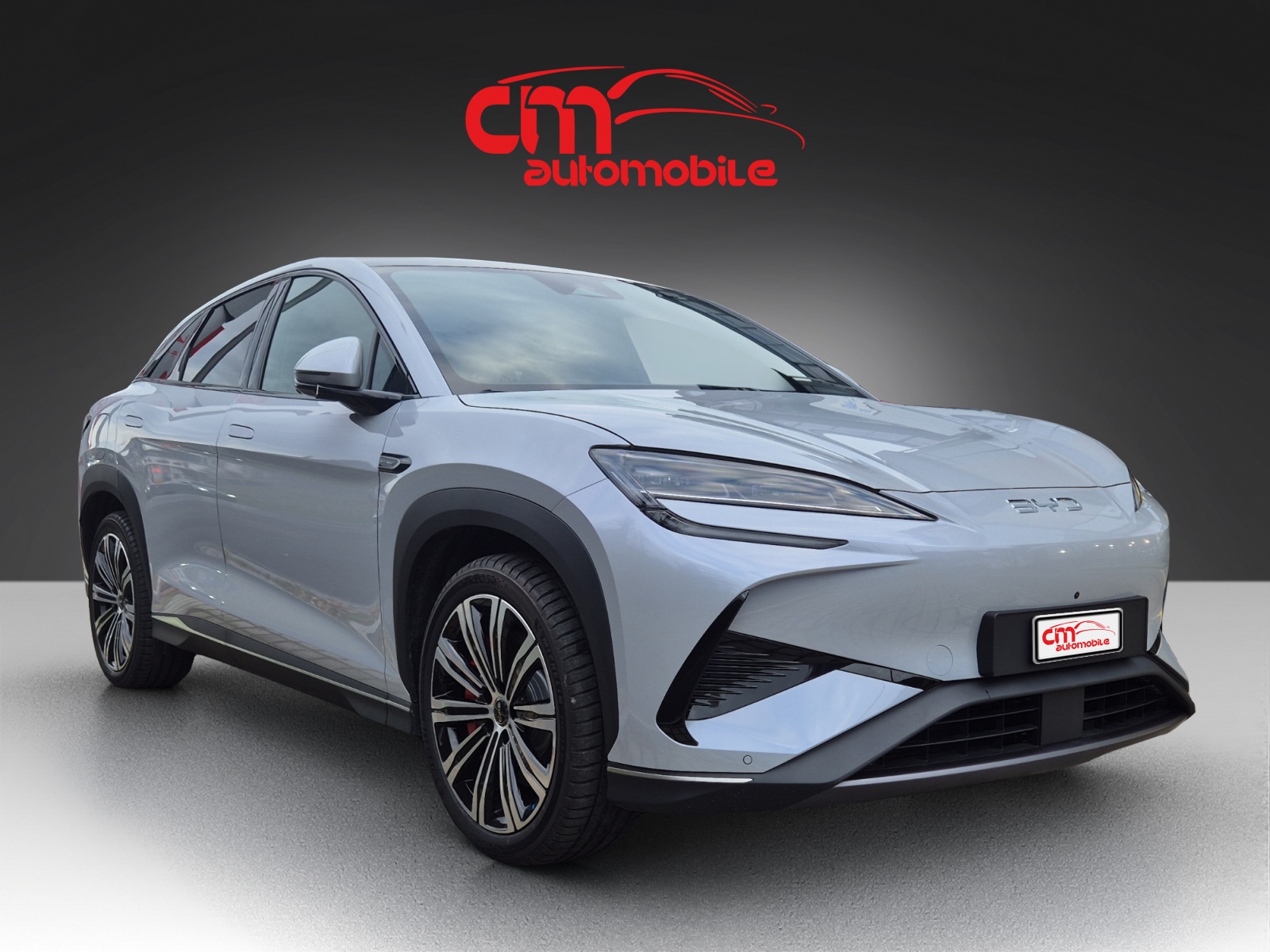 BYD Sealion 7 91,3 kWh Excellence AWD-showroom-element-3
