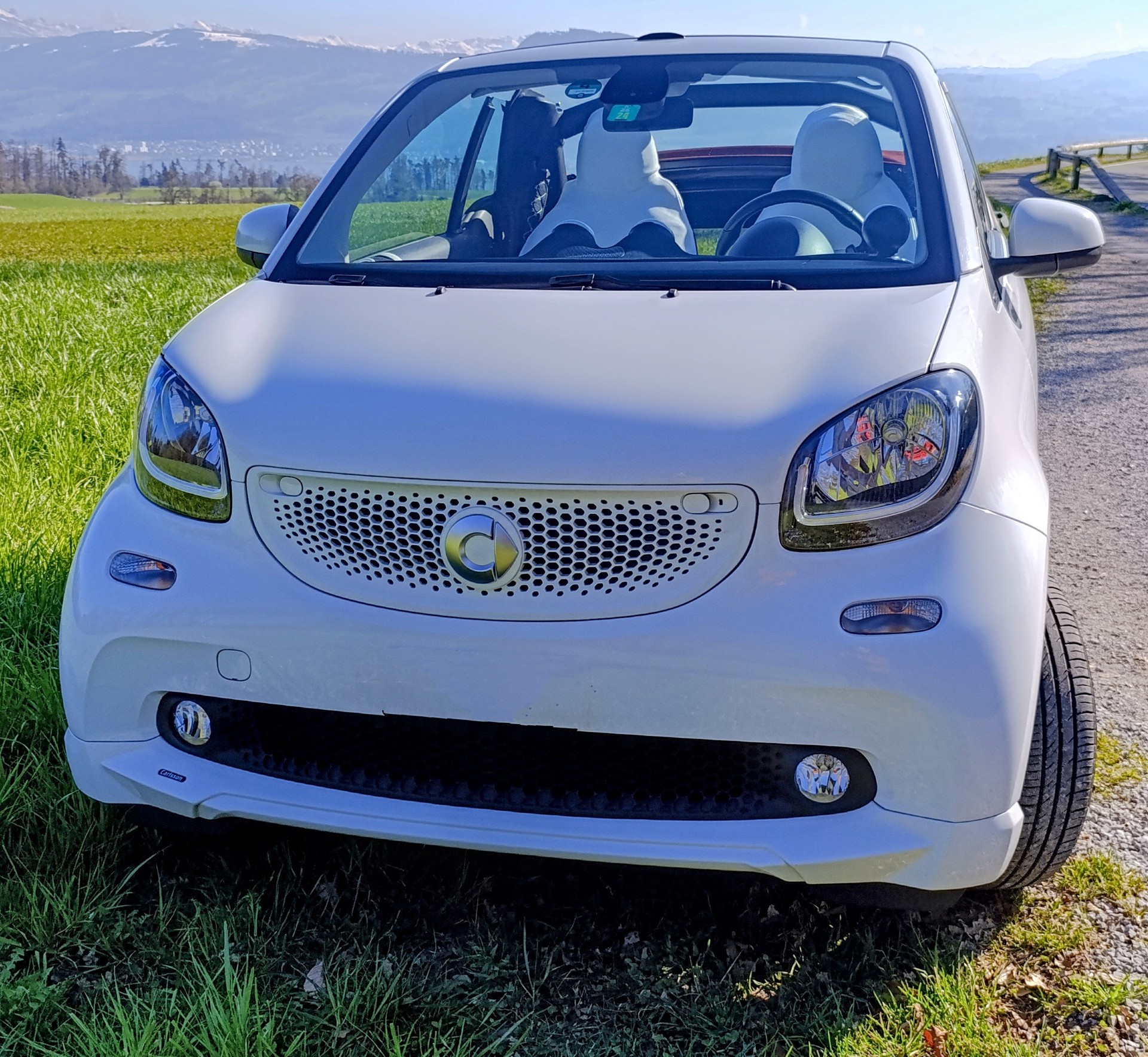SMART fortwo proxy twinmatic-image-0