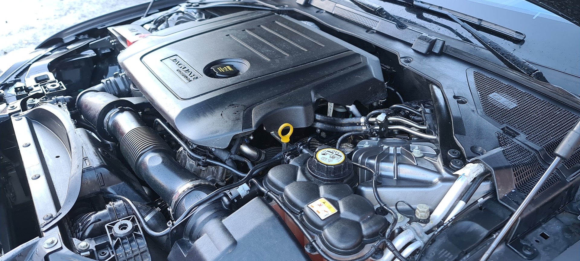 JAGUAR XF 20d Portfolio Automatic-image-31