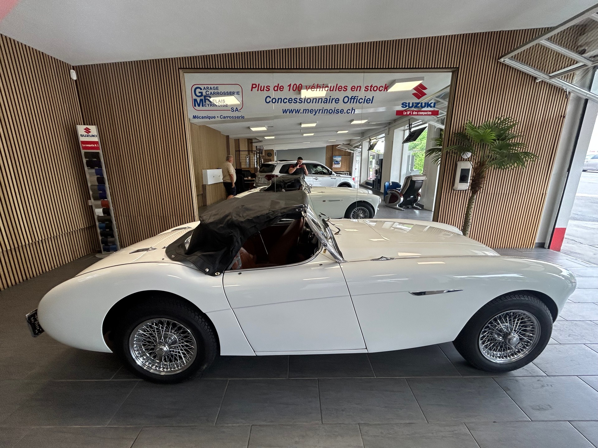 AUSTIN-HEALEY 100 BN1-image-1