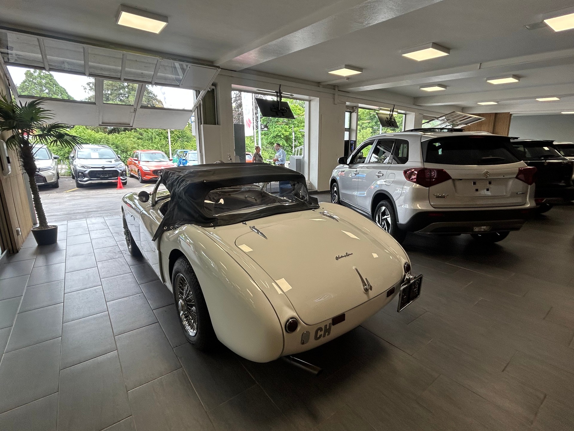 AUSTIN-HEALEY 100 BN1-image-9