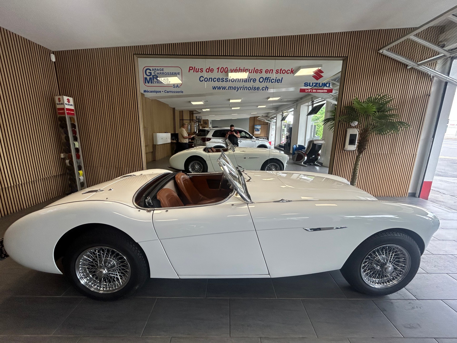 AUSTIN-HEALEY 100 BN1-image-0