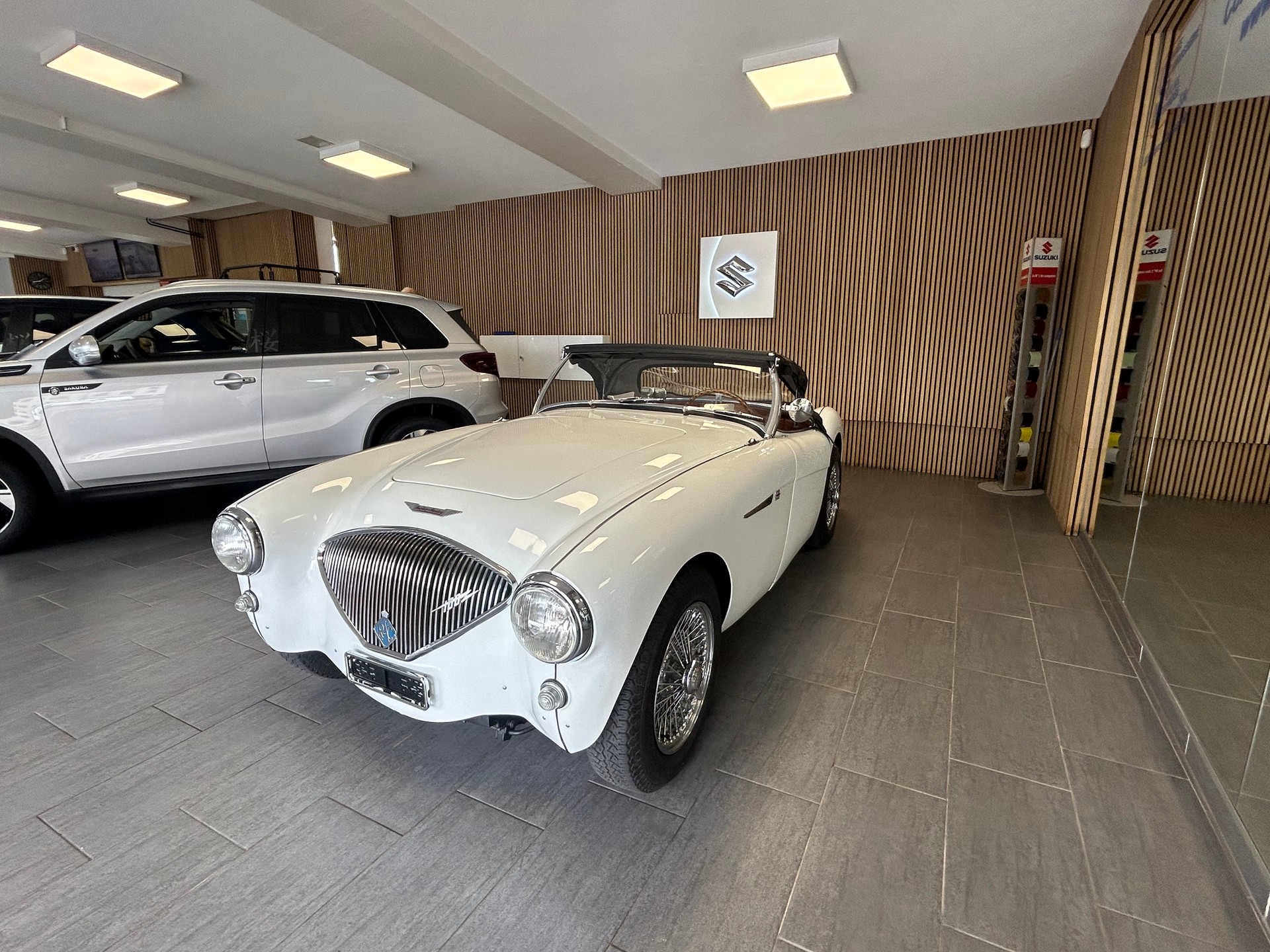 AUSTIN-HEALEY 100 BN1-image-7
