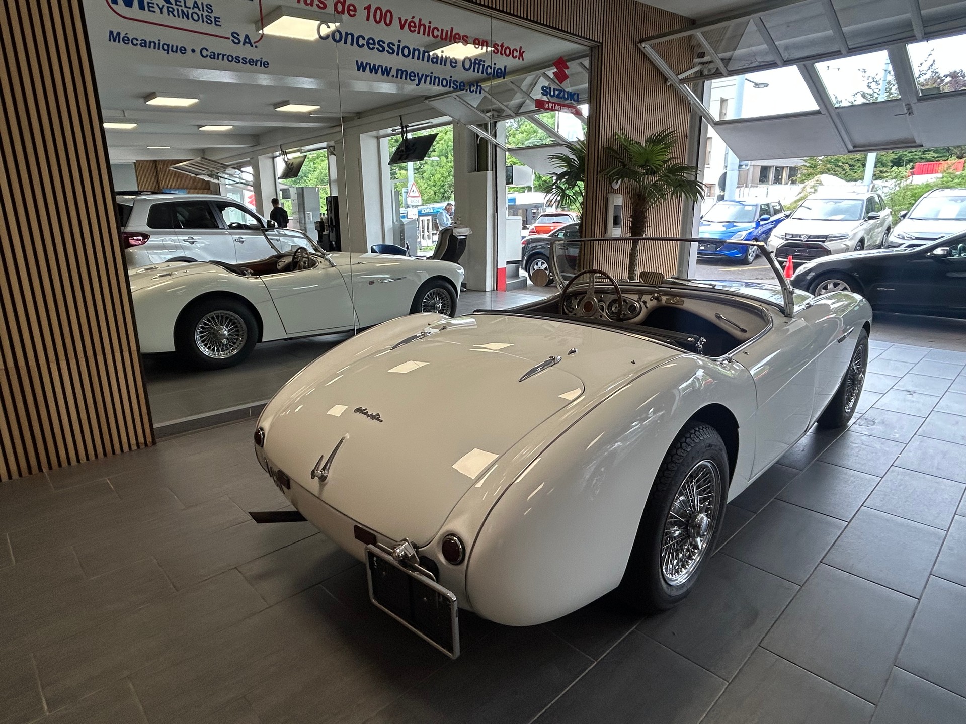 AUSTIN-HEALEY 100 BN1-image-12