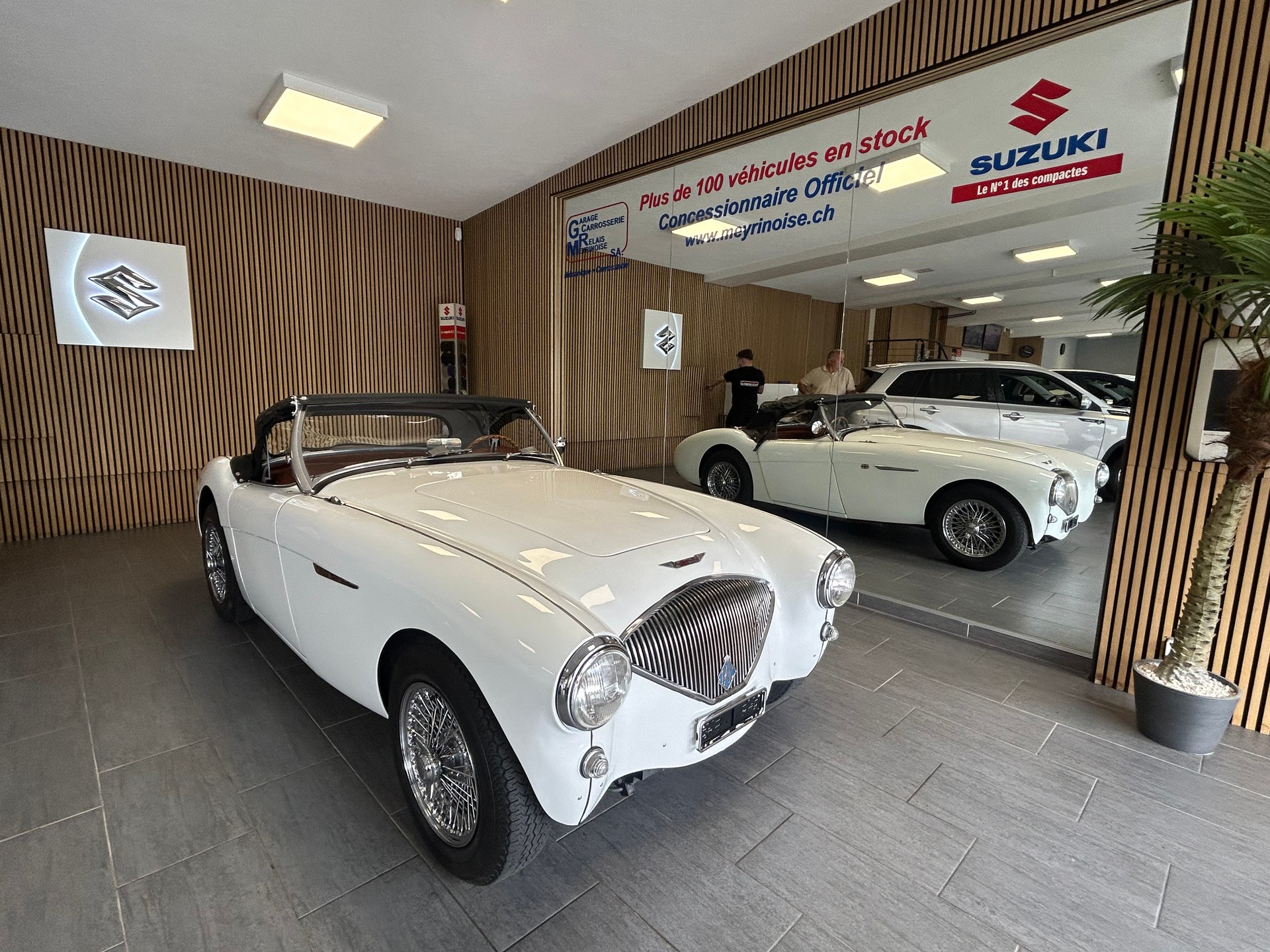 AUSTIN-HEALEY 100 BN1-image-3