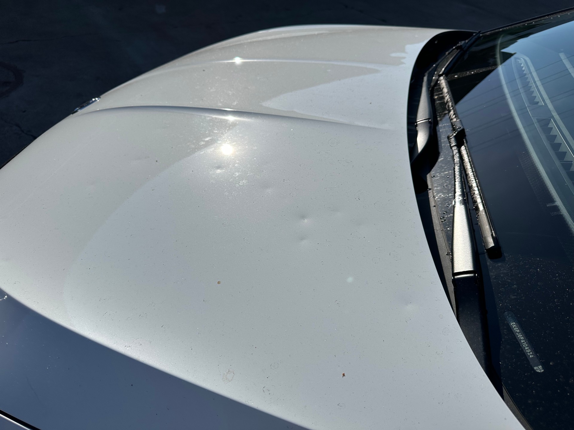 SKODA Fabia 1.5 TSI Monte Carlo DSG-image-7