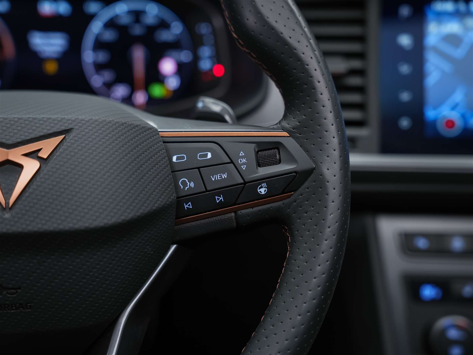 CUPRA Ateca 2.0TSI VZ 4Drive DSG *Panorama*-image-29