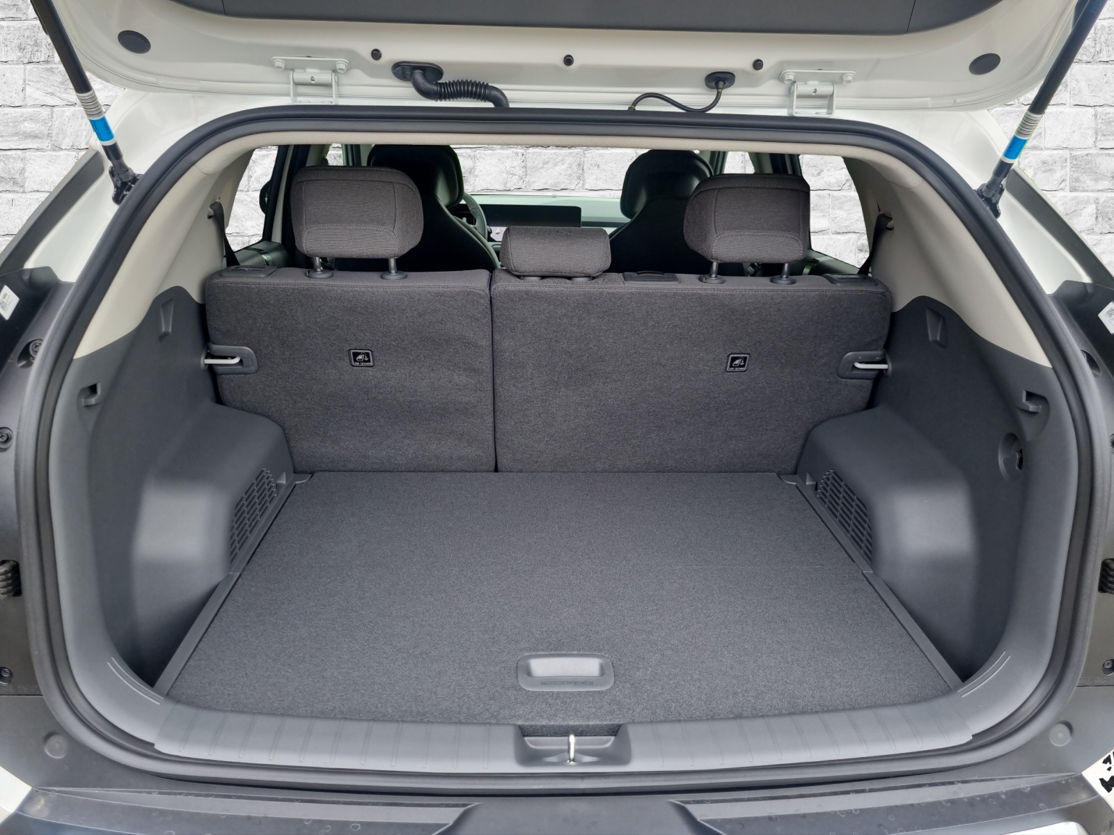 KIA EV3 81 kWh Earth-image-8