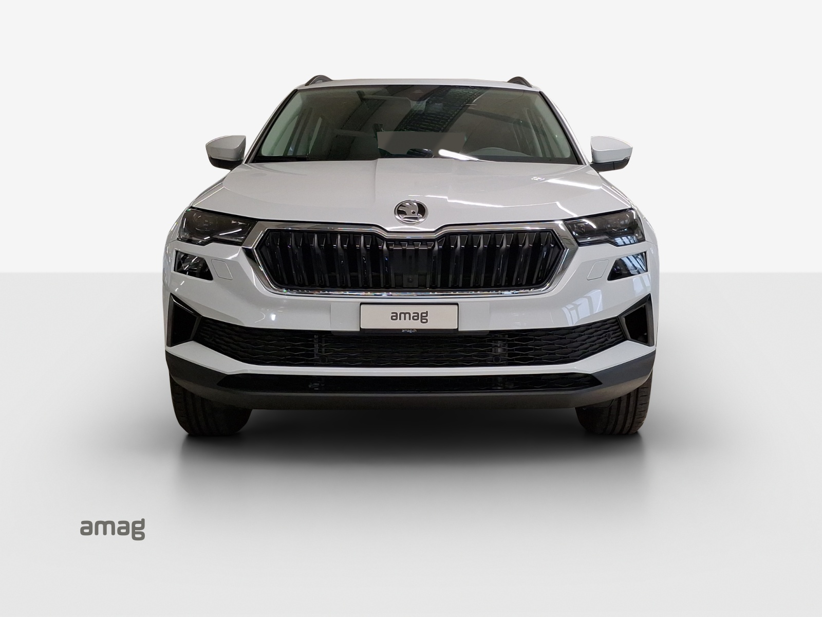 SKODA Karoq 1.5 TSI Selection DSG-image-6