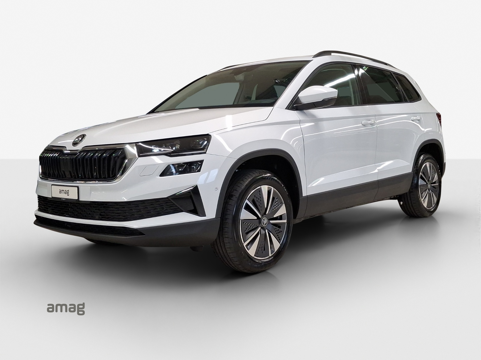 SKODA Karoq 1.5 TSI Selection DSG-image-0