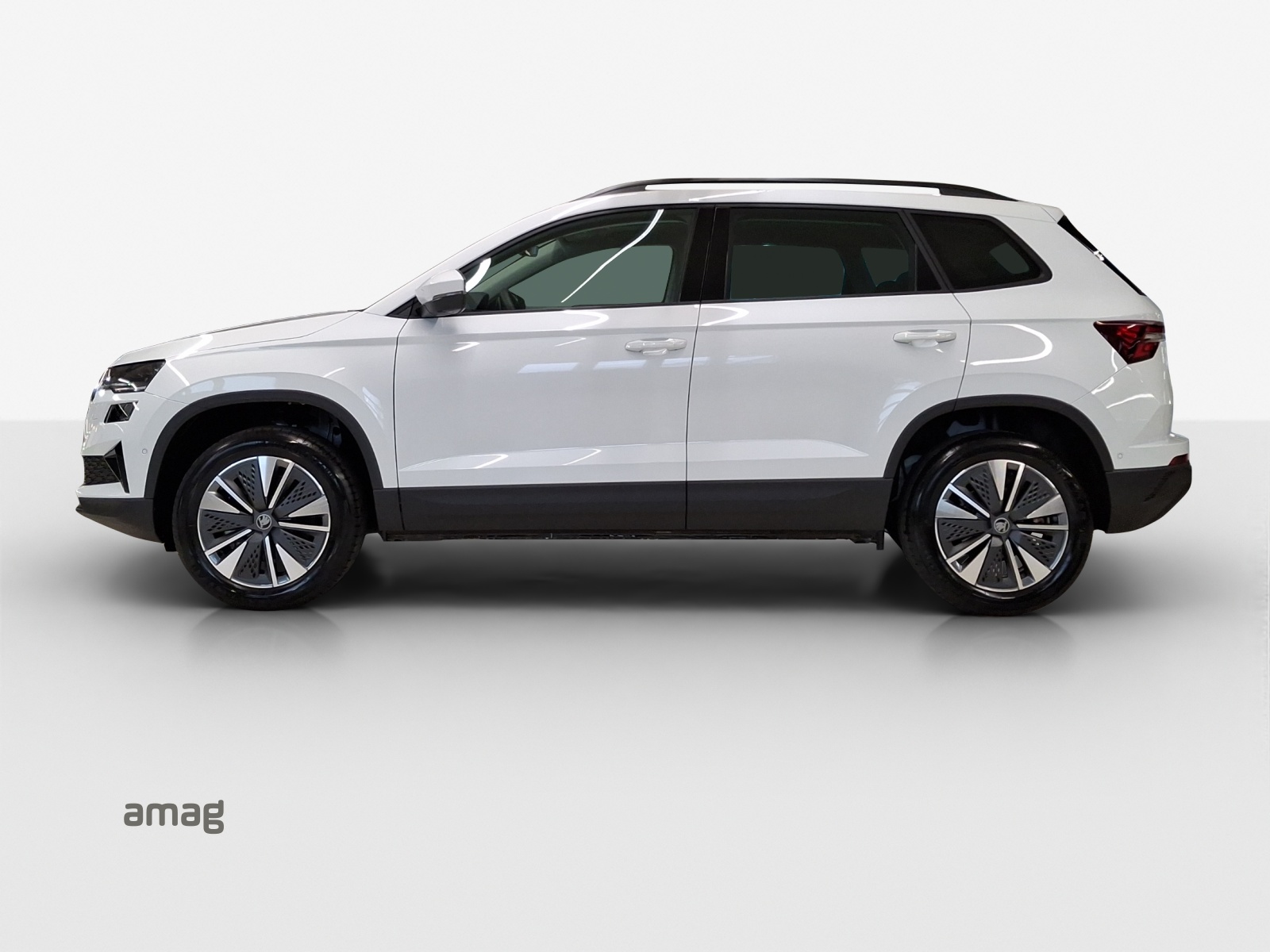 SKODA Karoq 1.5 TSI Selection DSG-image-1