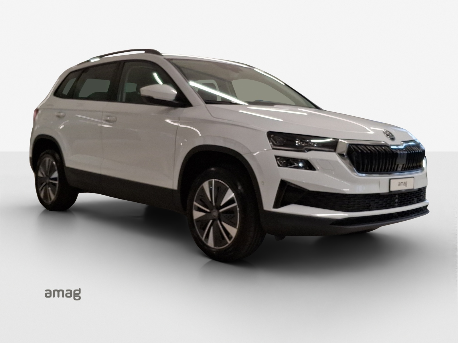 SKODA Karoq 1.5 TSI Selection DSG-image-5