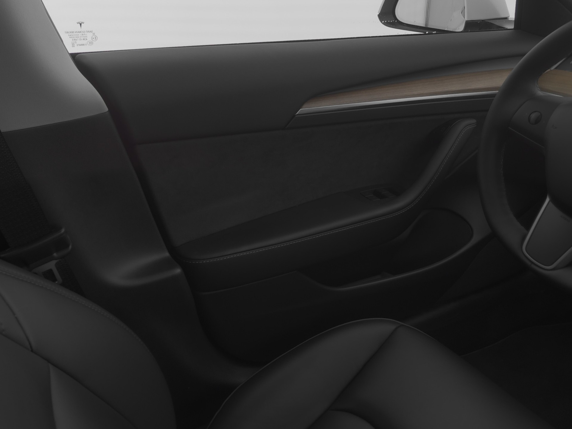 TESLA TESLA Model 3 Standard Range Plus Rear-Wheel Drive-image-8
