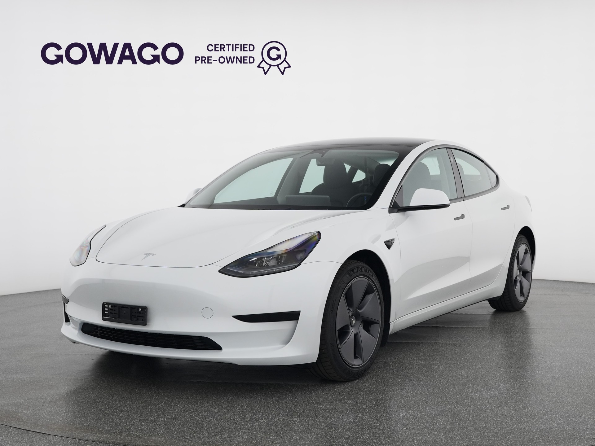 TESLA TESLA Model 3 Standard Range Plus Rear-Wheel Drive-image-0