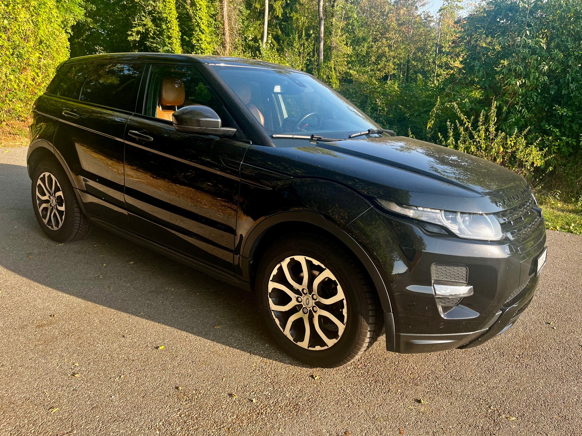 LAND ROVER Range Rover Evoque 2.2 TD4 Pure AT9-image-15