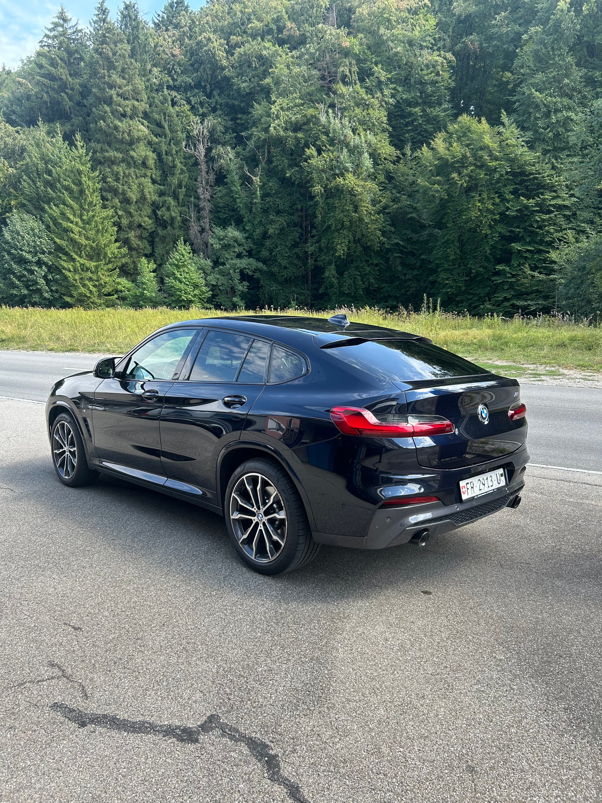 BMW X4 xDrive 30d M Sport Steptronic-image-6