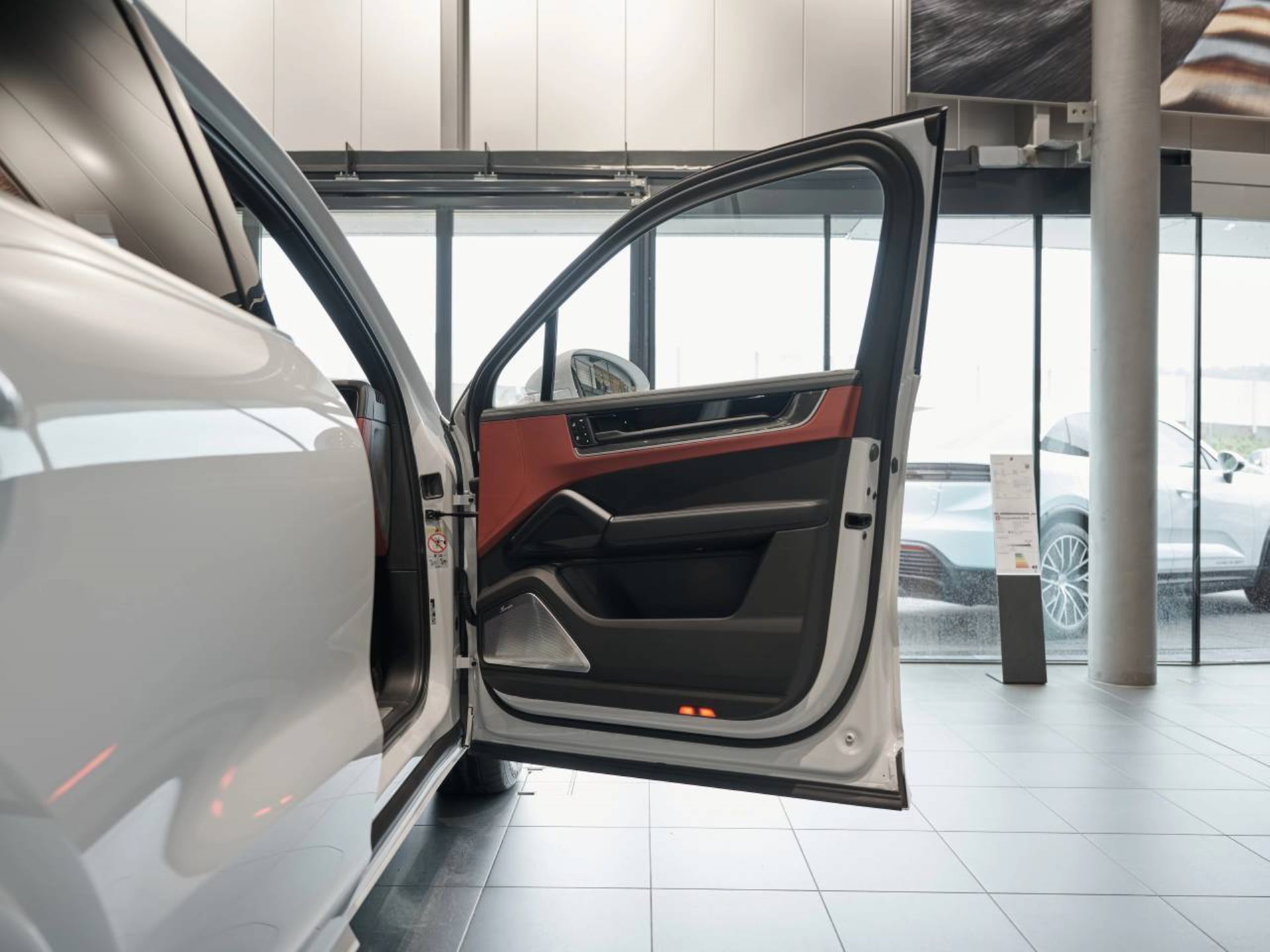PORSCHE Cayenne E-Hybrid-image-21