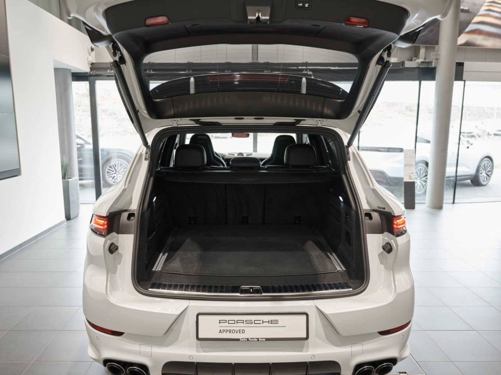 PORSCHE Cayenne E-Hybrid-image-6