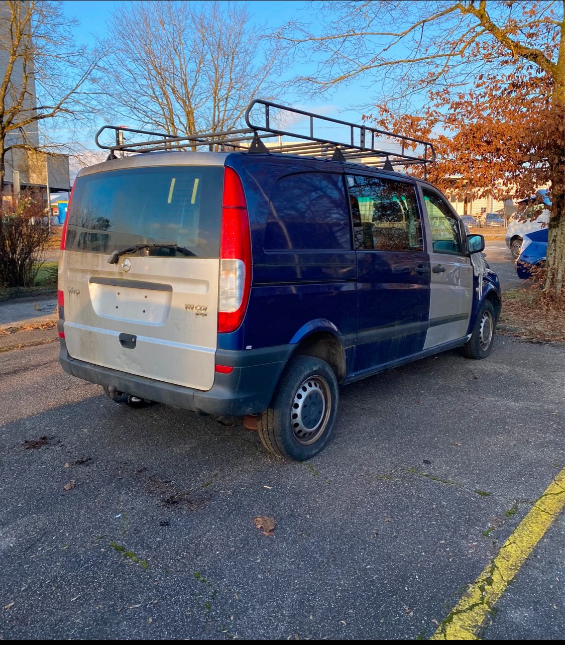 MERCEDES-BENZ Vito 111 CDI L 4x4-image-4
