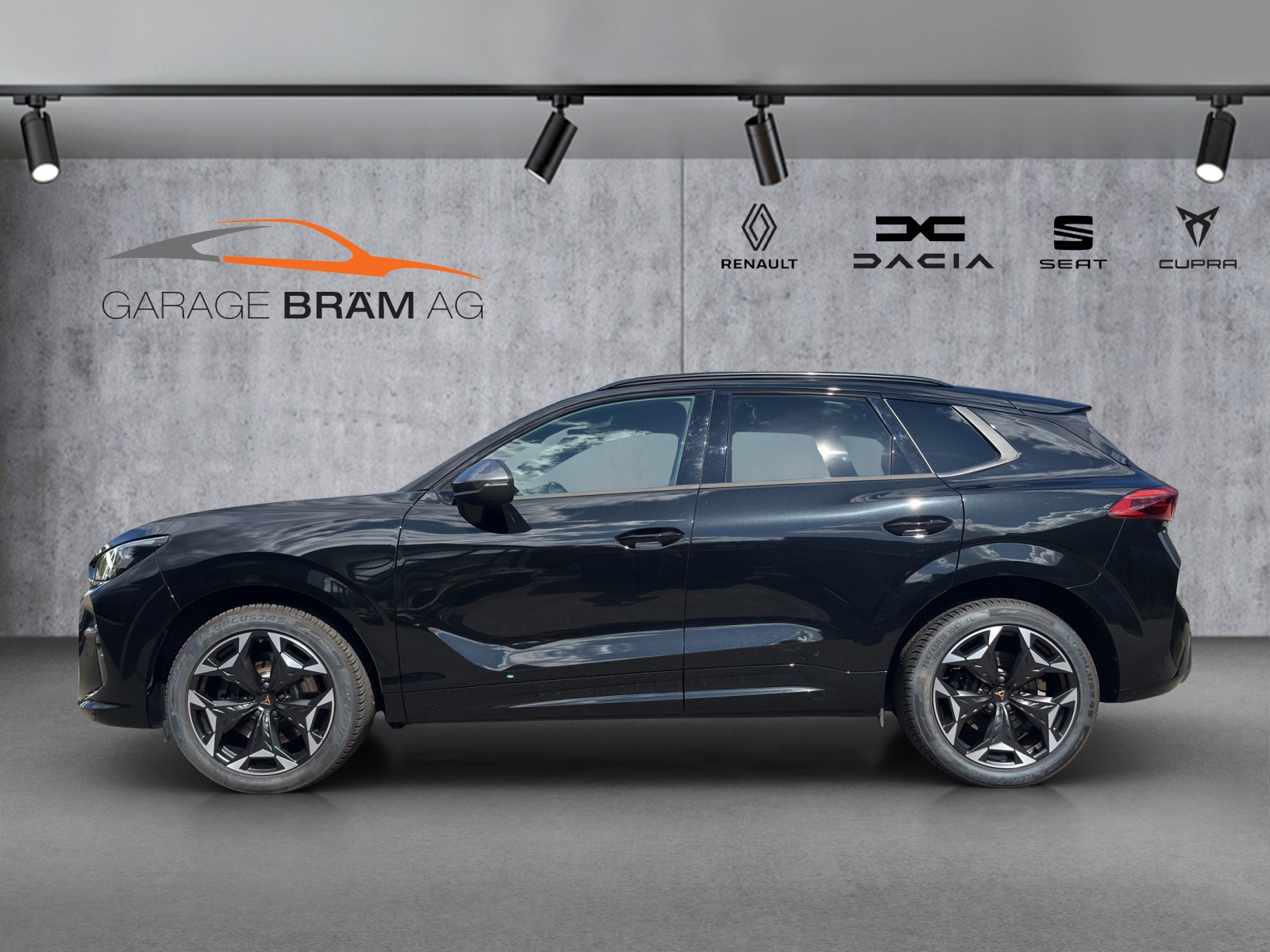 CUPRA Terramar 2.0 TSI DSG 4Drive VZ-image-2