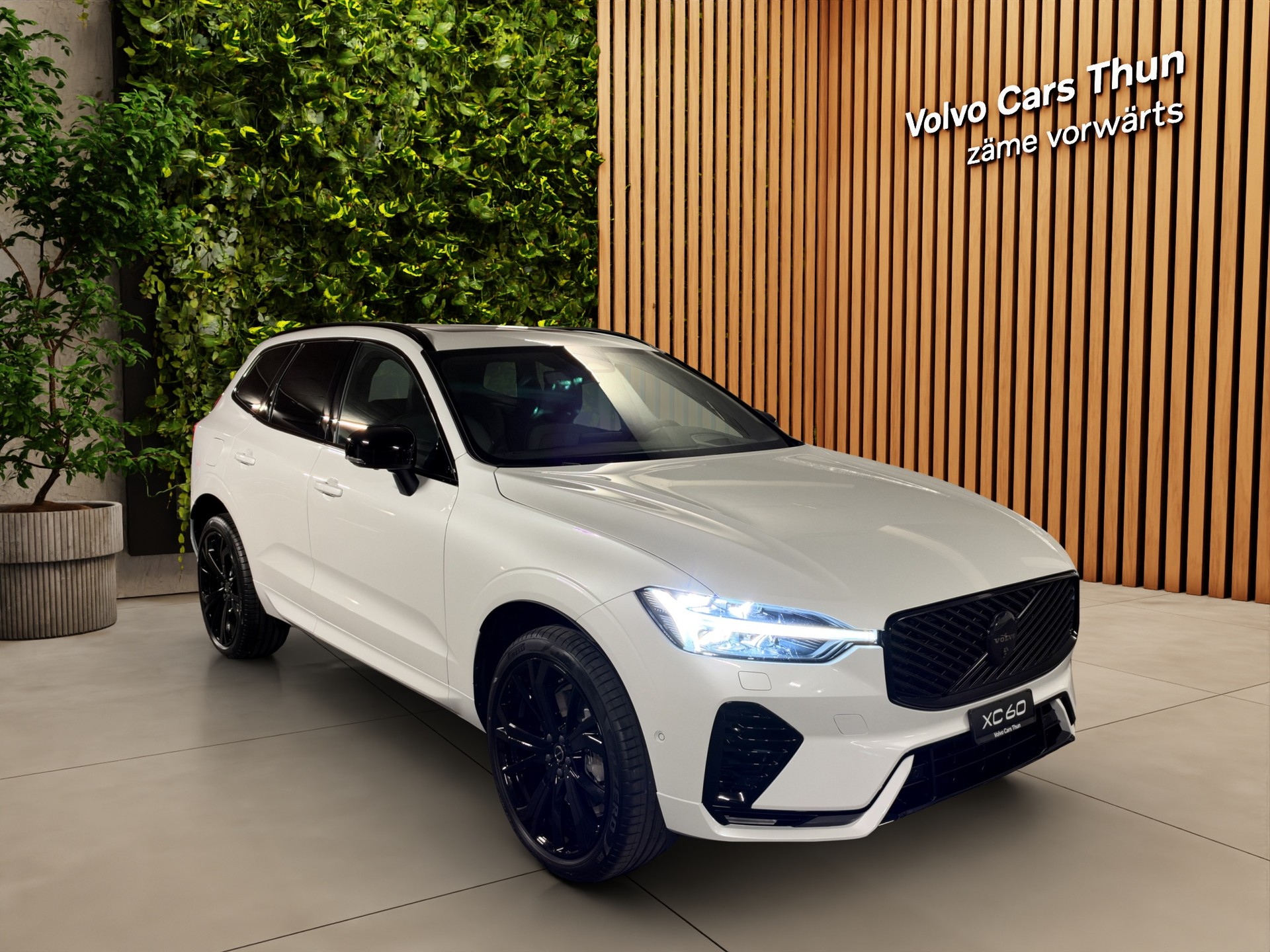 VOLVO XC60 2.0 T8 TE Black Edition eAWD-showroom-element-2