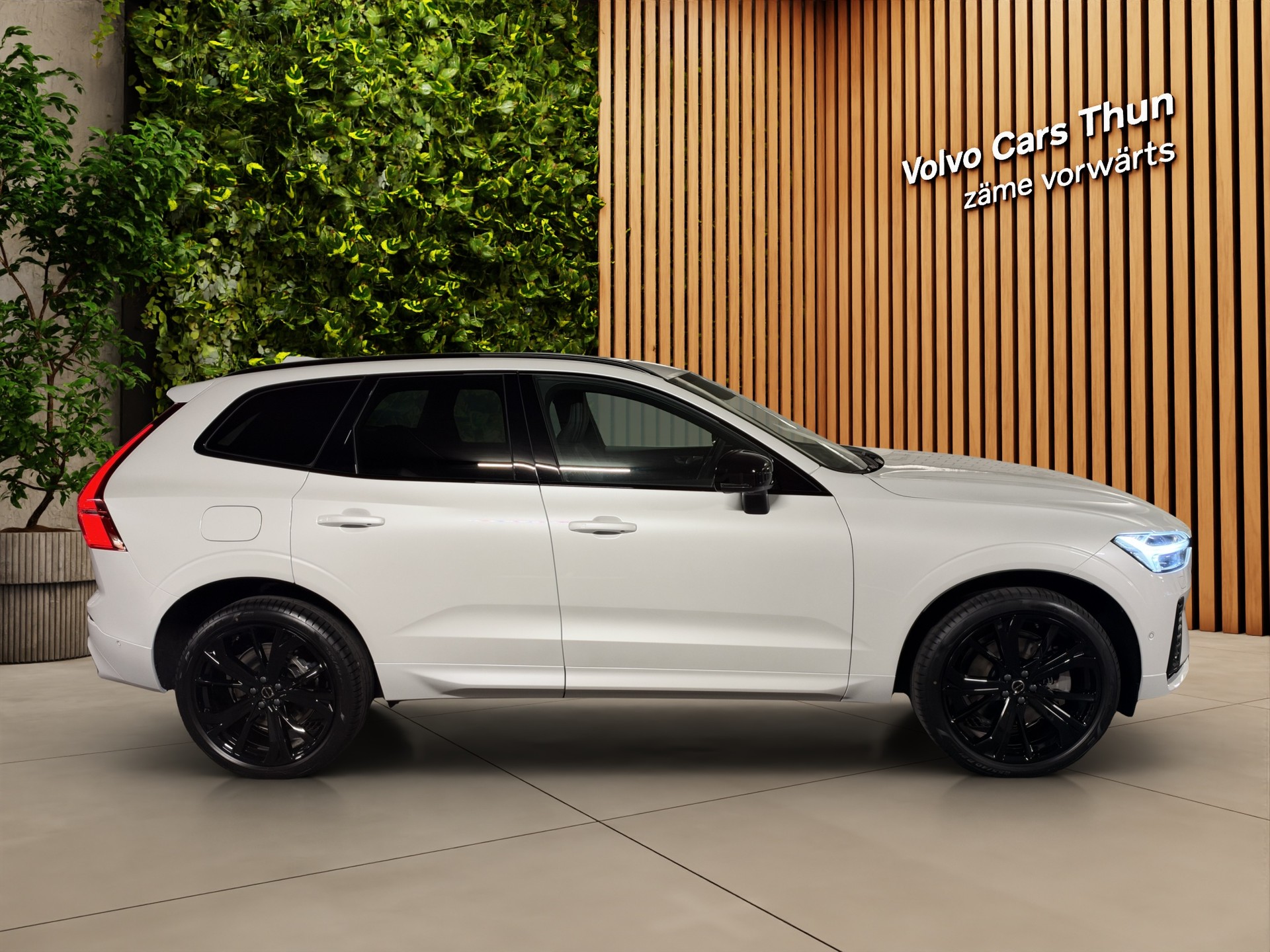 VOLVO XC60 2.0 T8 TE Black Edition eAWD-showroom-element-3