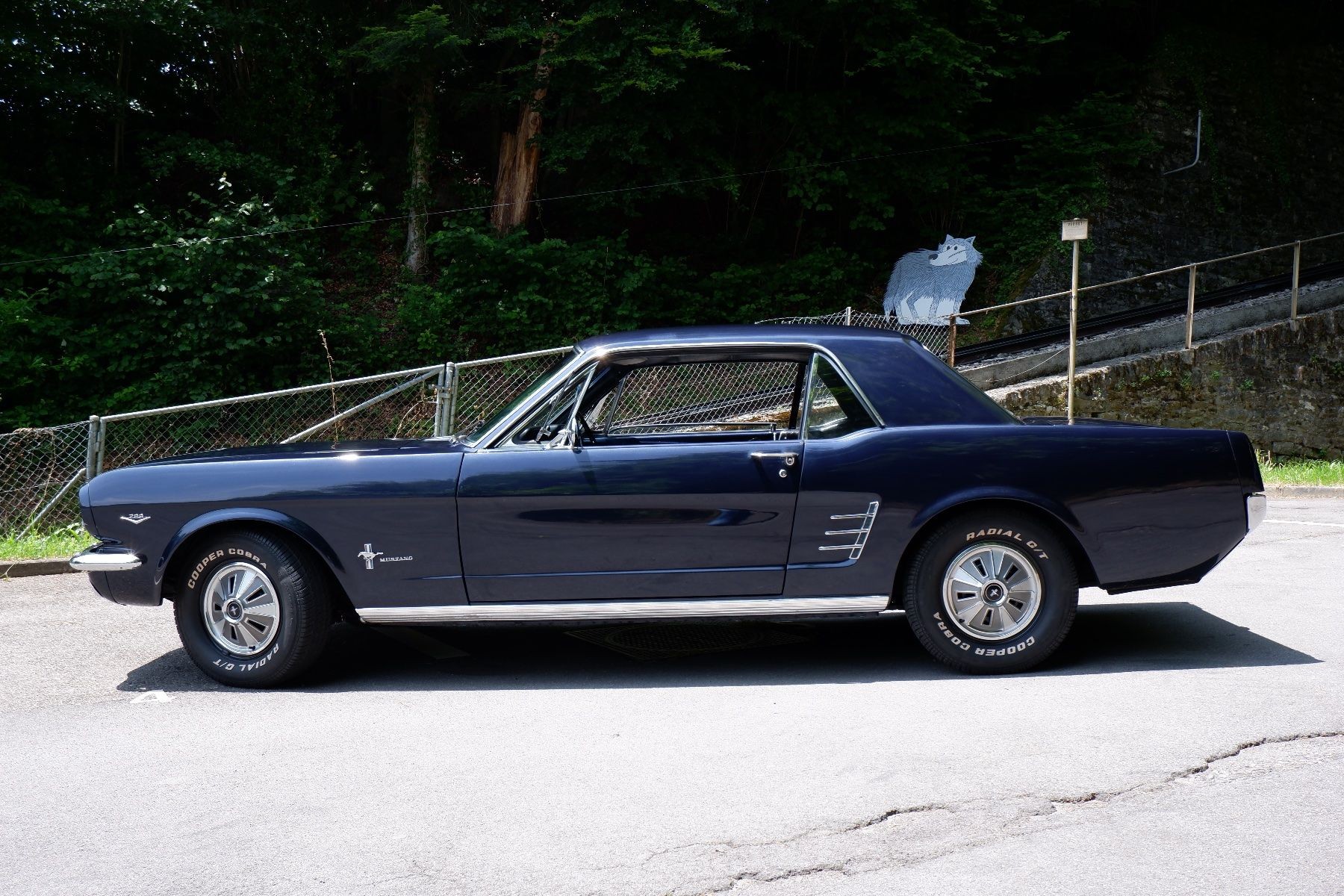FORD MUSTANG-image-2