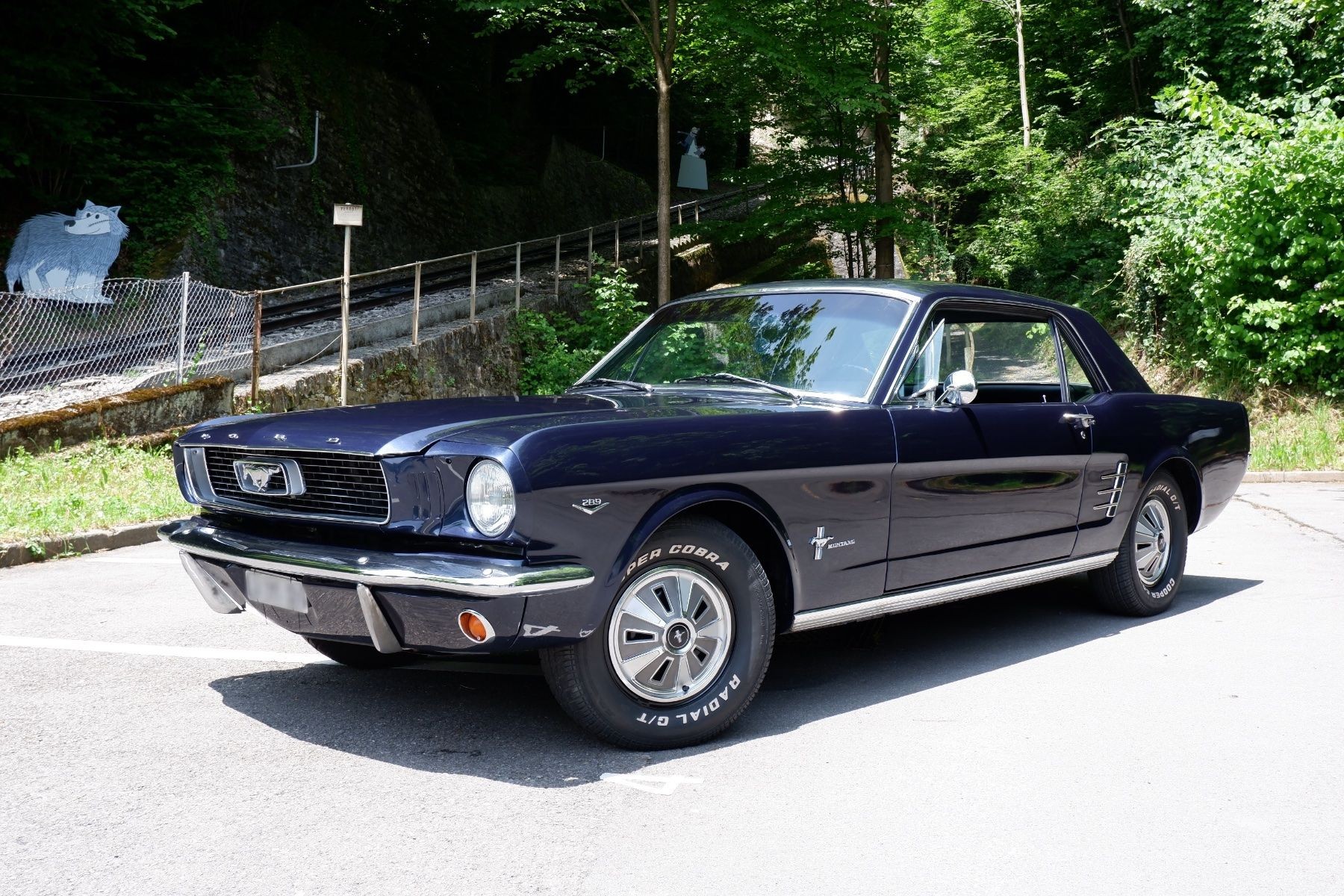 FORD MUSTANG-image-0