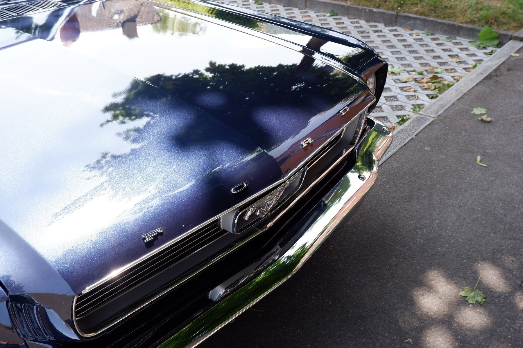 FORD MUSTANG-image-4