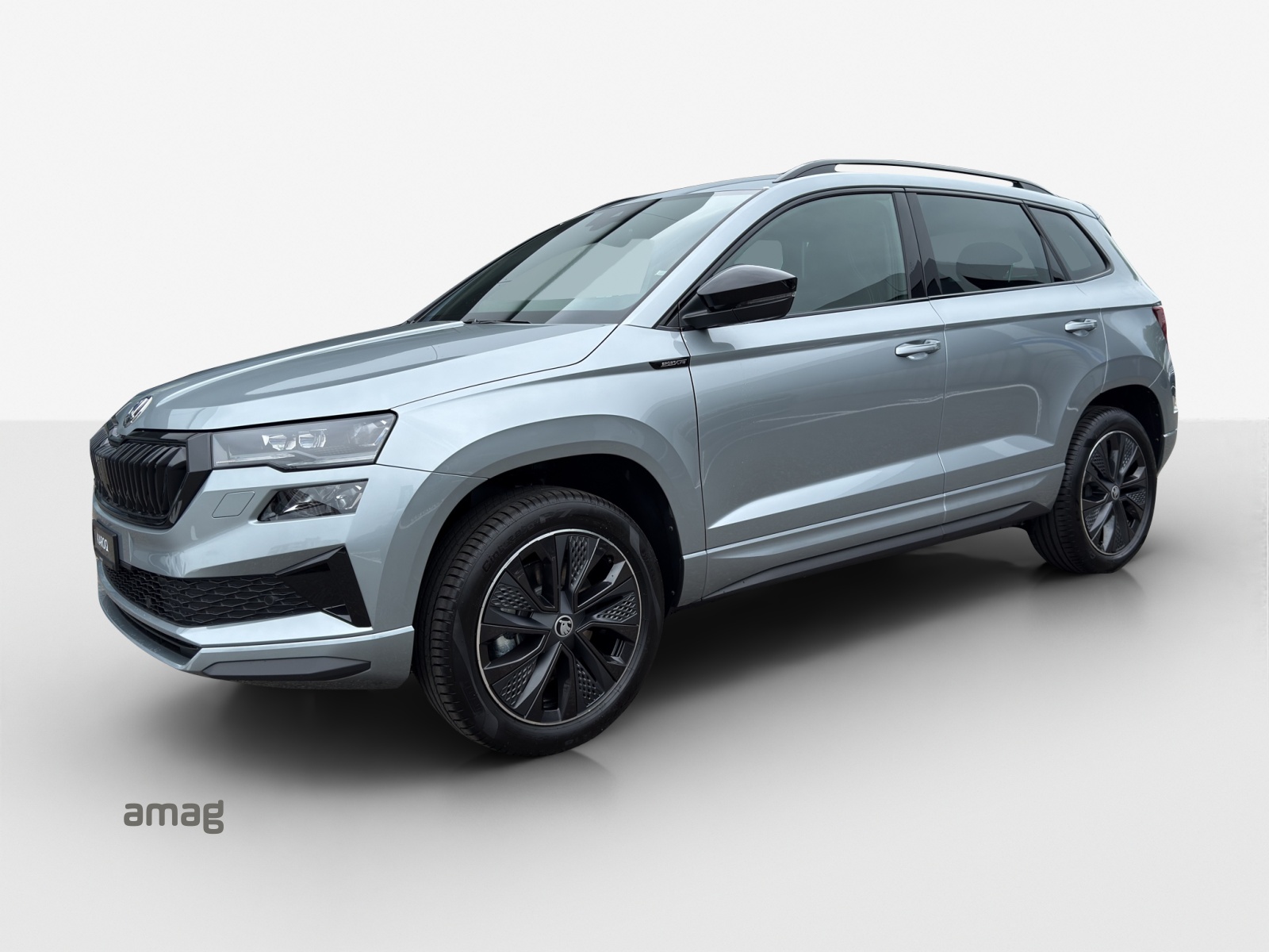 SKODA Karoq 2.0 TSI Dynamic Limited Edition 4x4 DSG-image-0