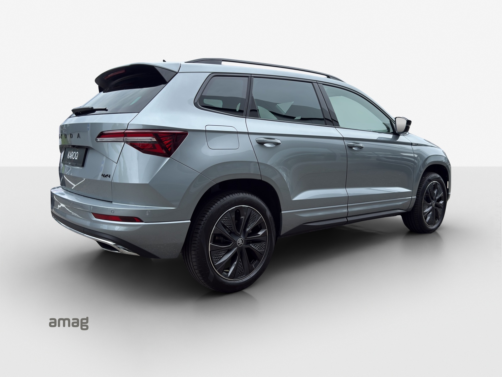 SKODA Karoq 2.0 TSI Dynamic Limited Edition 4x4 DSG-image-4