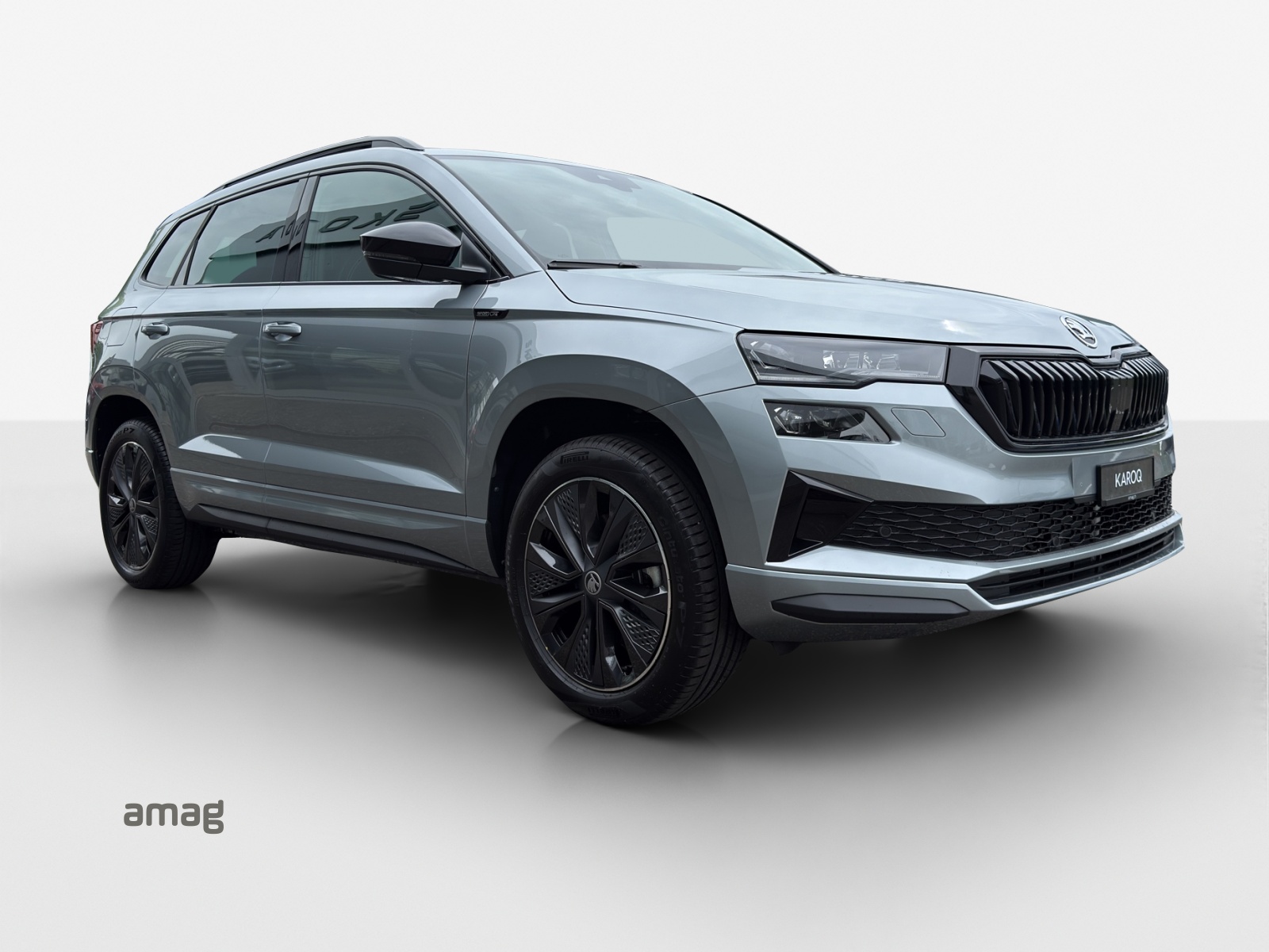SKODA Karoq 2.0 TSI Dynamic Limited Edition 4x4 DSG-image-5