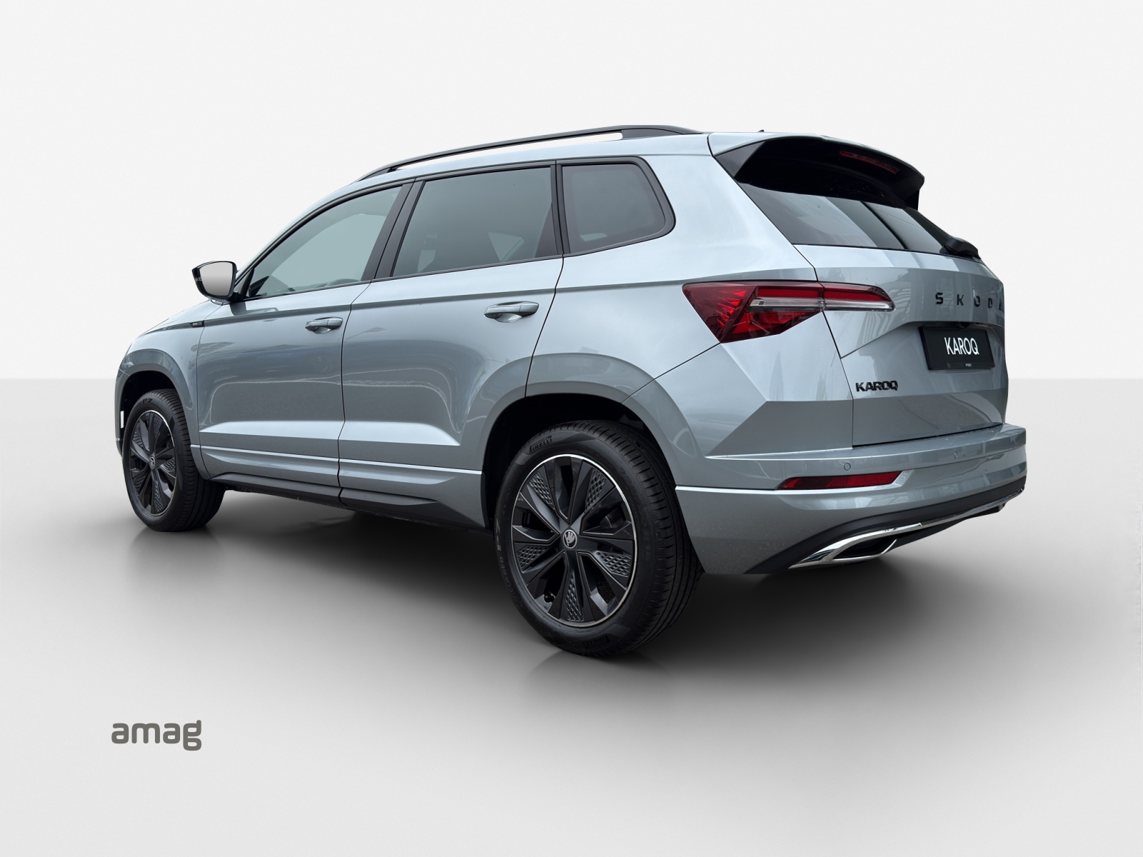SKODA Karoq 2.0 TSI Dynamic Limited Edition 4x4 DSG-image-2