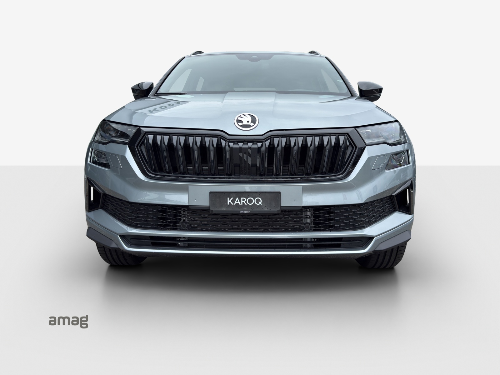 SKODA Karoq 2.0 TSI Dynamic Limited Edition 4x4 DSG-image-6