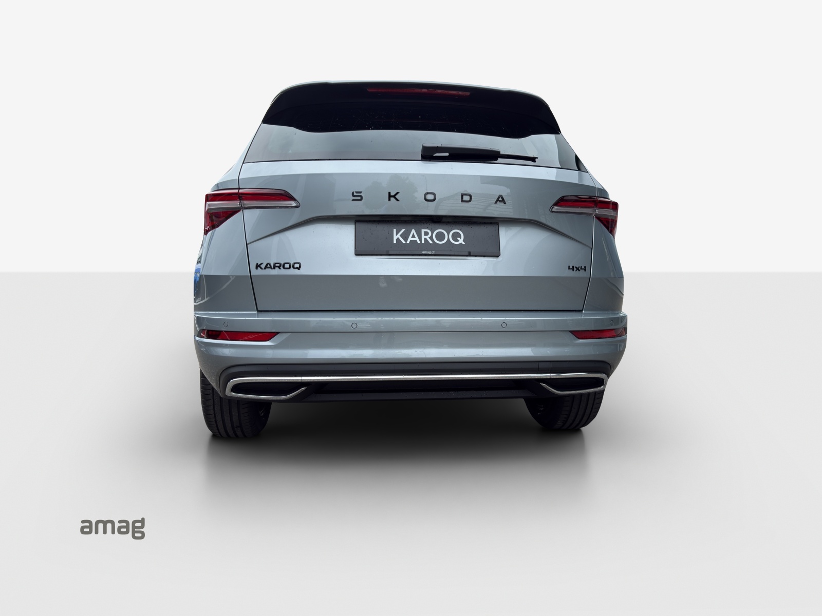 SKODA Karoq 2.0 TSI Dynamic Limited Edition 4x4 DSG-image-3