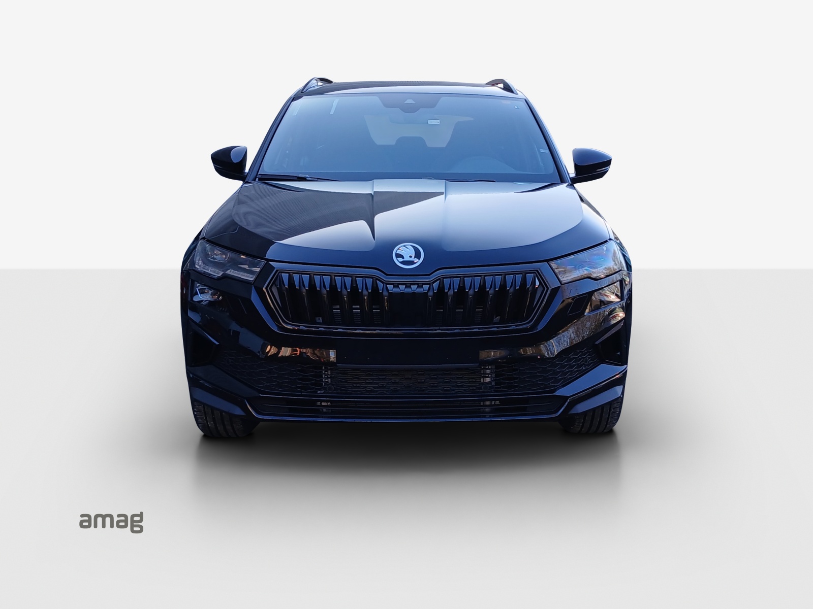 SKODA Karoq 2.0 TSI SportLine 4x4 DSG-image-6