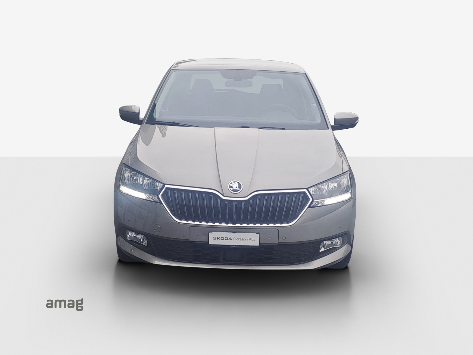 SKODA Fabia 1.0 TSI Ambition-image-6