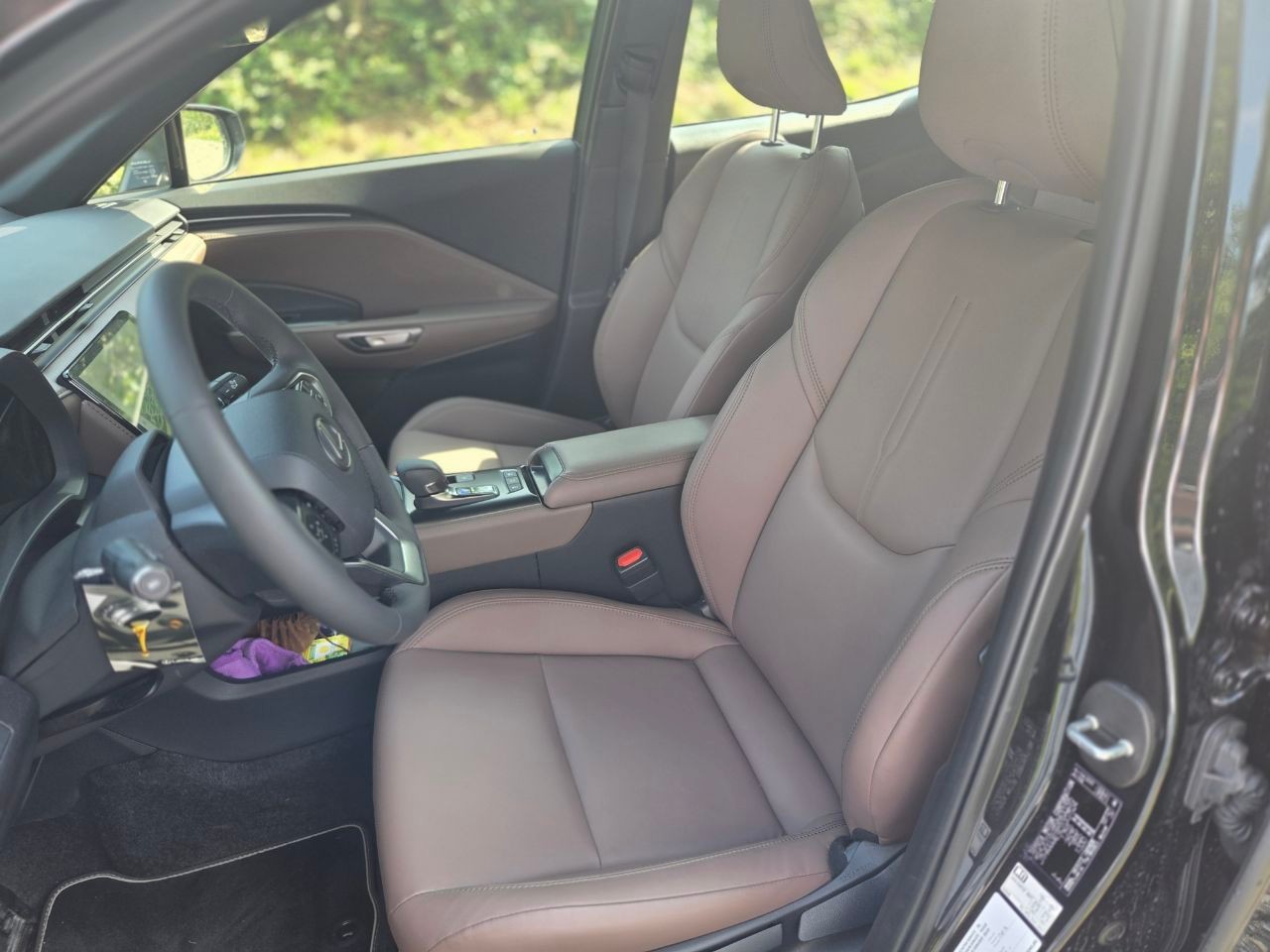 LEXUS 1.5 Hybrid Elegant-image-5
