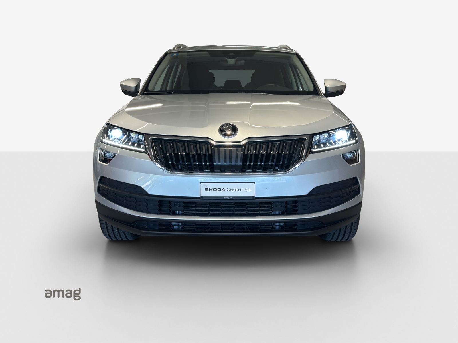 SKODA Karoq 2.0 TDI CR Clever 4x4 DSG-image-6