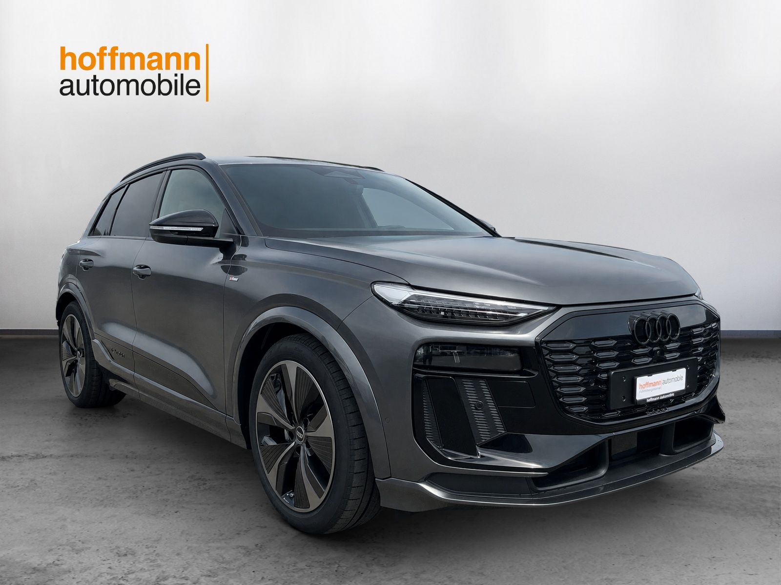 AUDI Q6 e-tron quattro-showroom-element-2