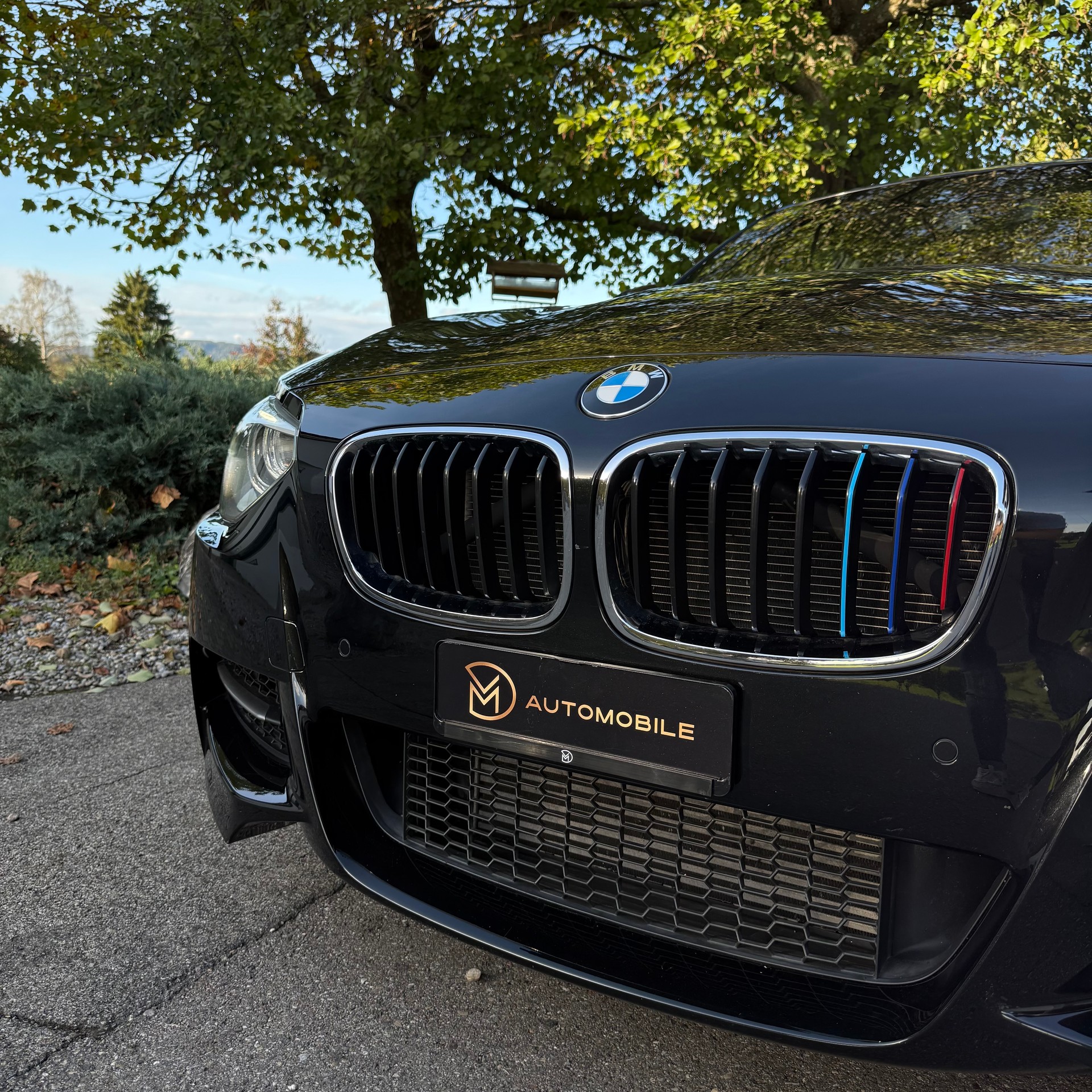 BMW M135i xDrive Steptronic-image-2