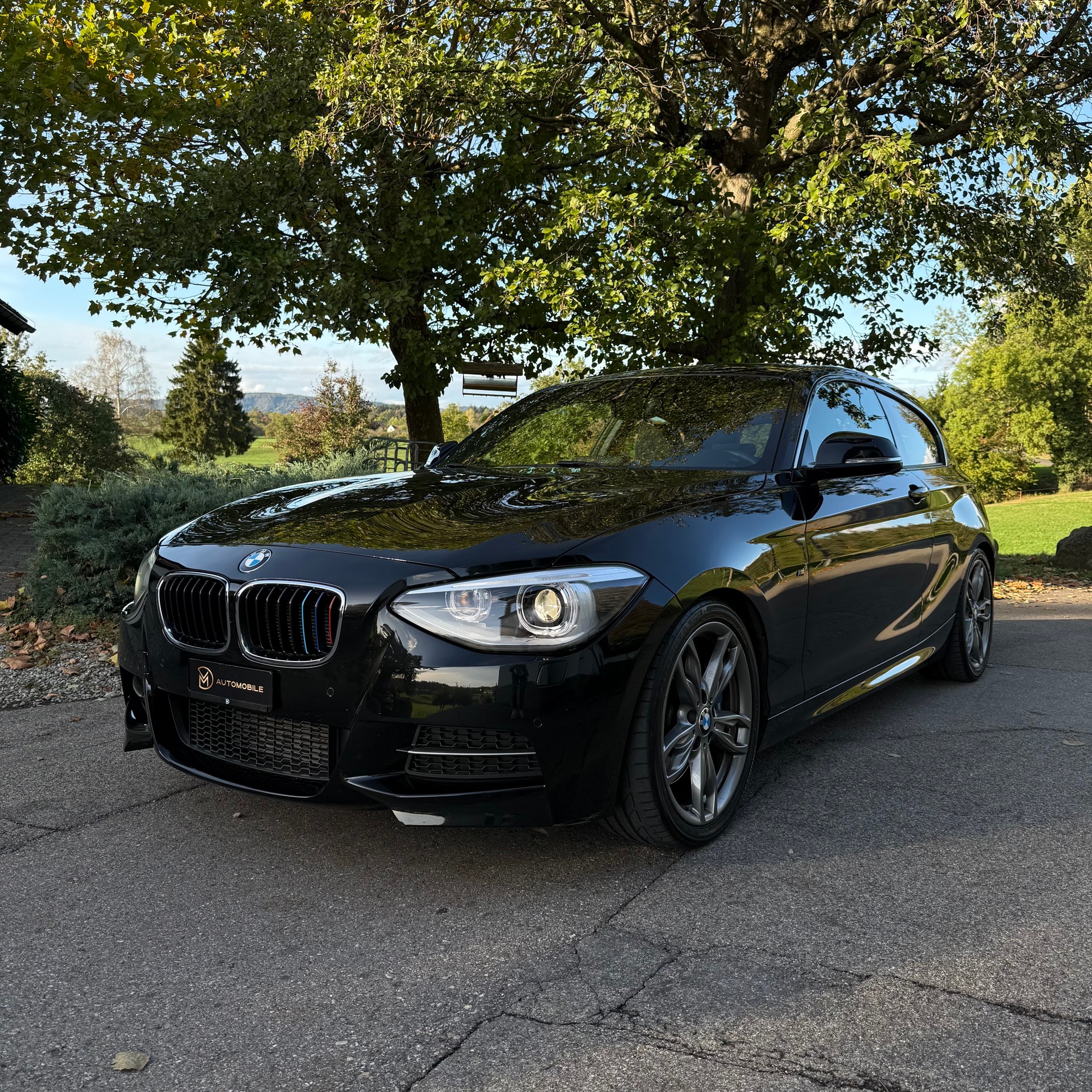 BMW M135i xDrive Steptronic-image-0