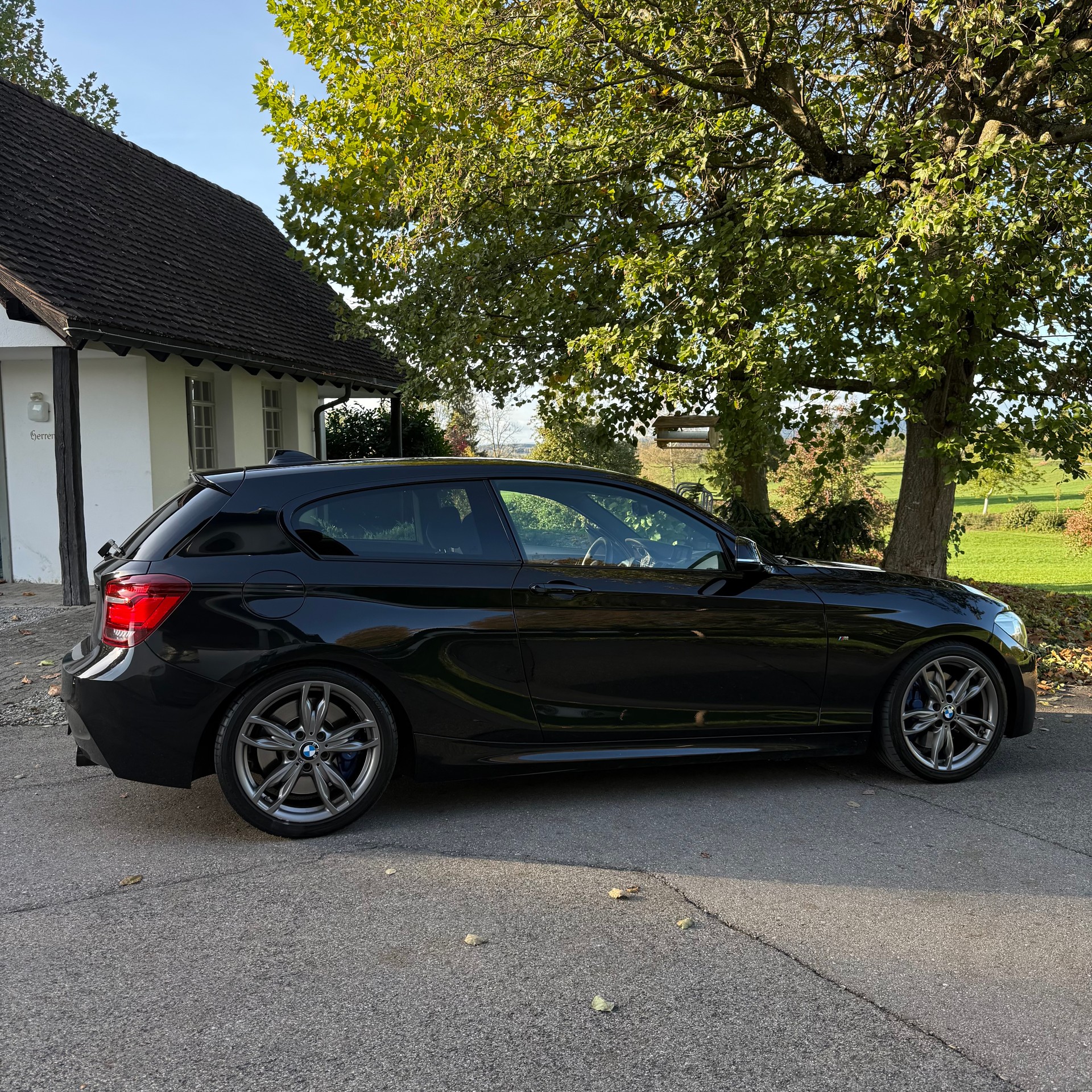 BMW M135i xDrive Steptronic-image-5