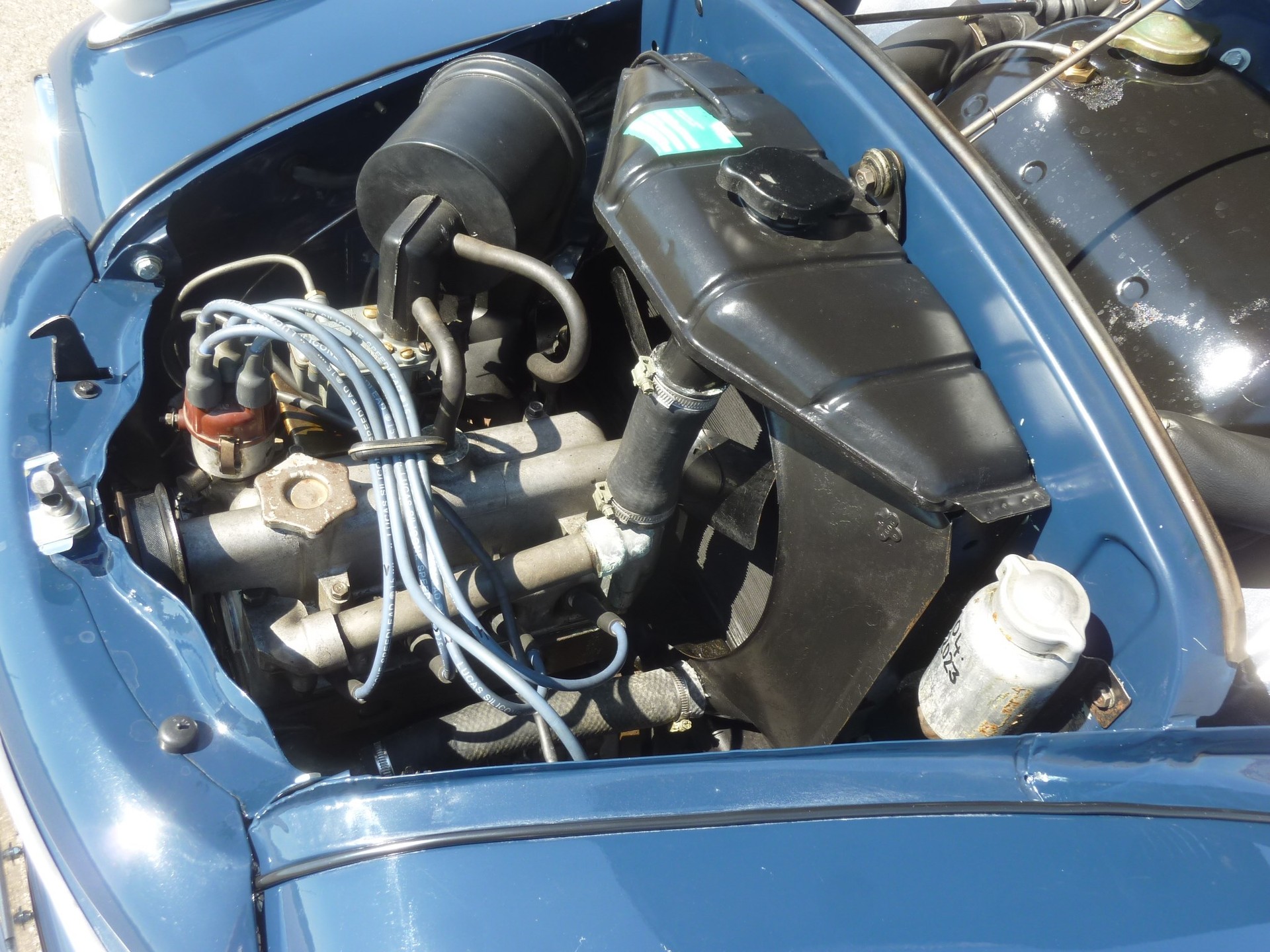 FIAT 500 C TOPOLINO-image-13