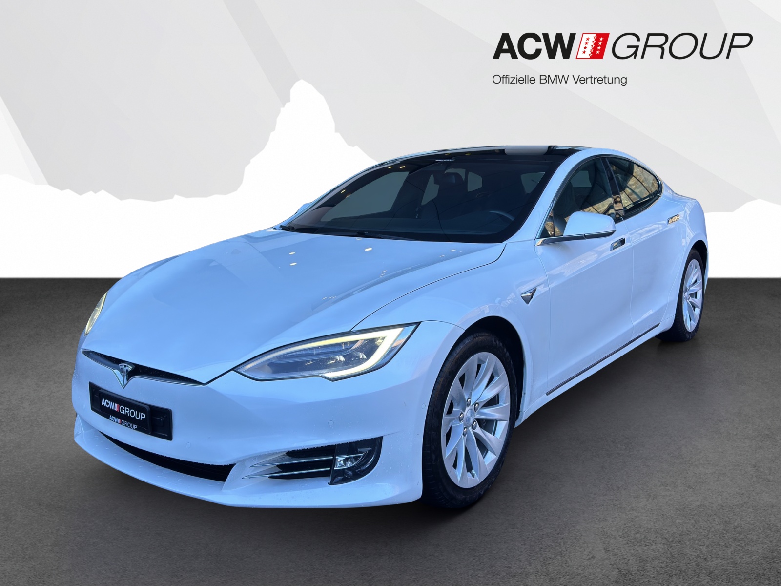 TESLA Model S 100 D-image-0