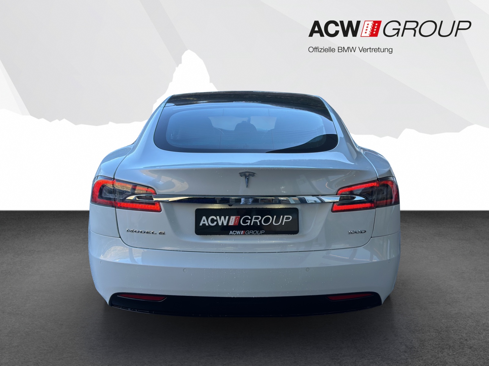 TESLA Model S 100 D-image-3