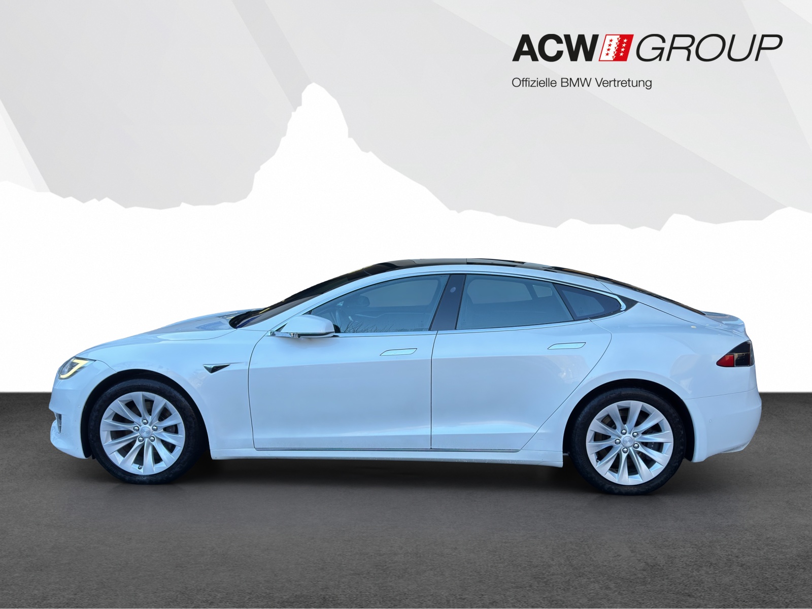 TESLA Model S 100 D-image-1