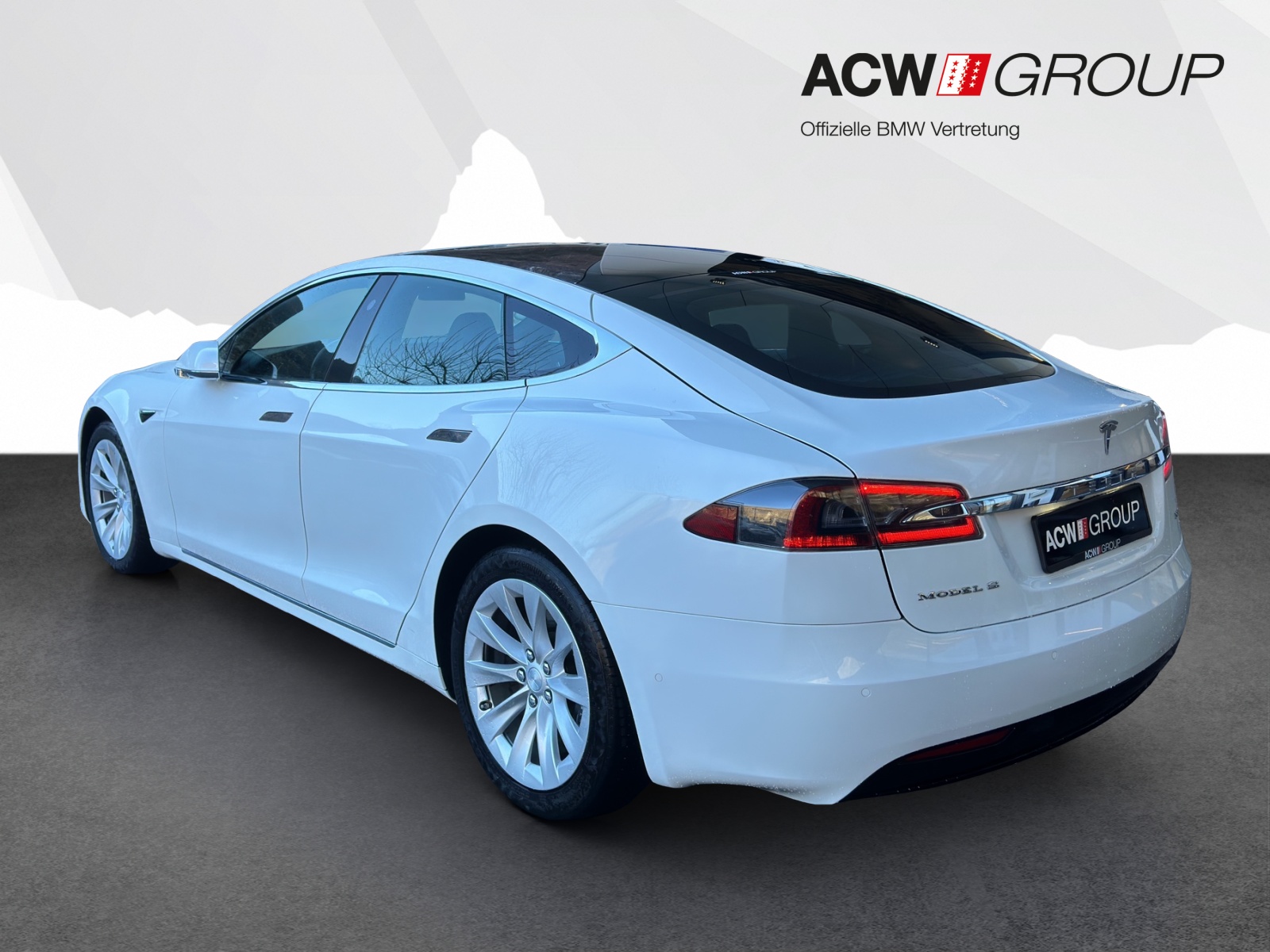 TESLA Model S 100 D-image-2