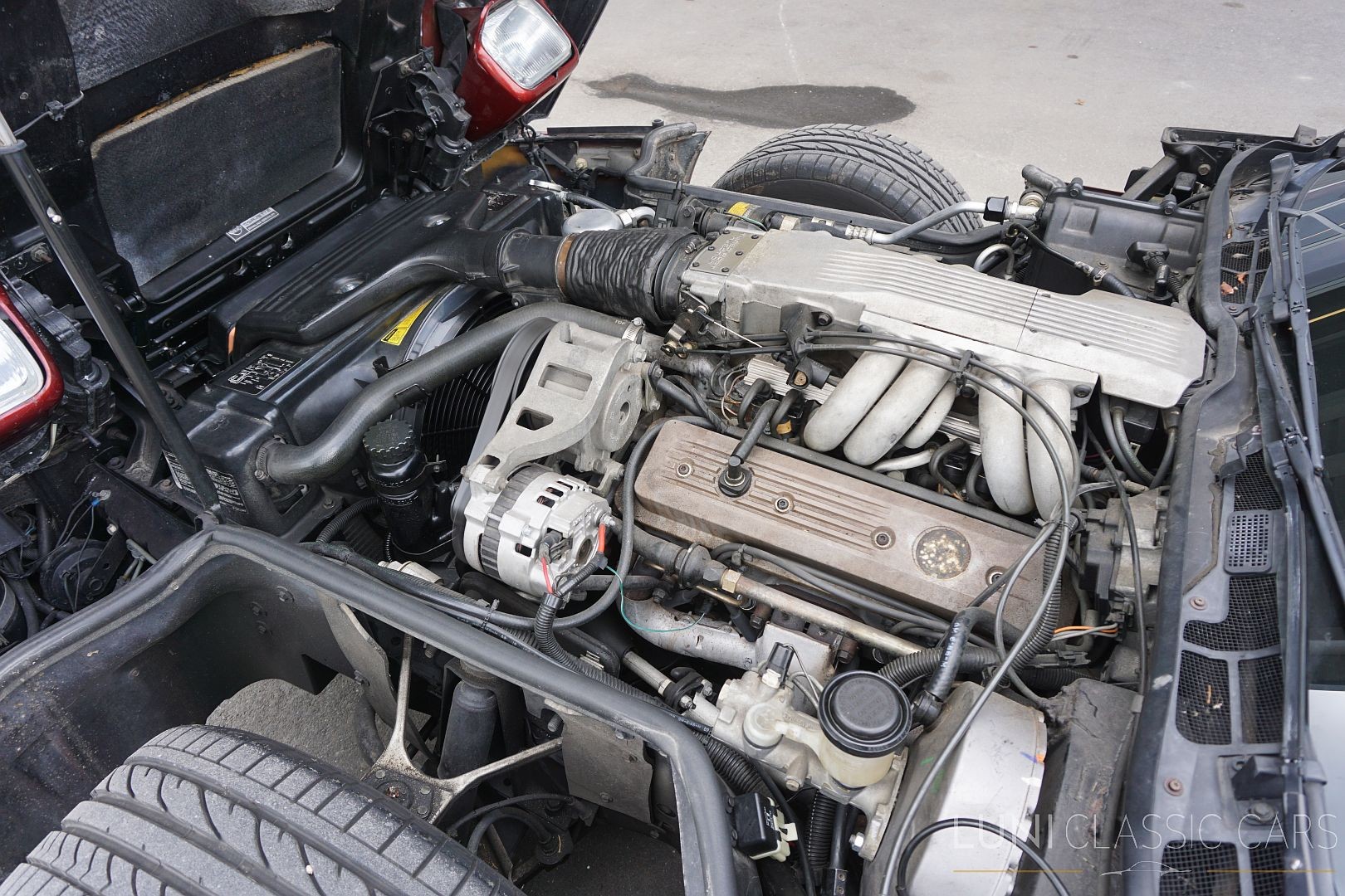 CHEVROLET Corvette C4 5.7 Convertible-image-24