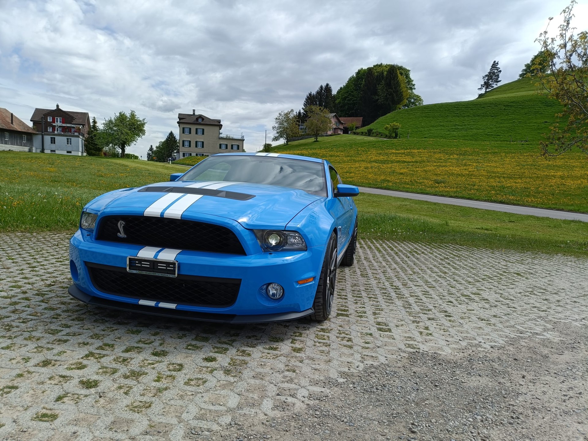 FORD Shelby GT 500-image-6